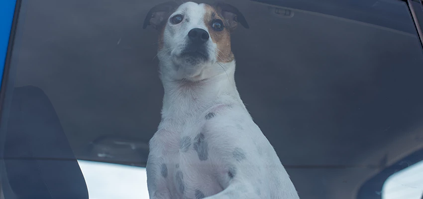 Car Lockout Solutions in Loma Linda, California